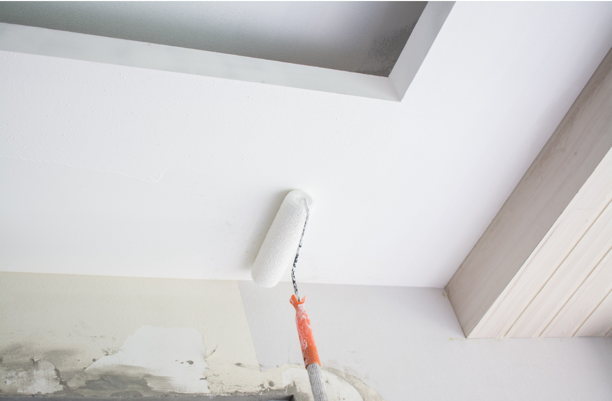 CPB painting and plastering project